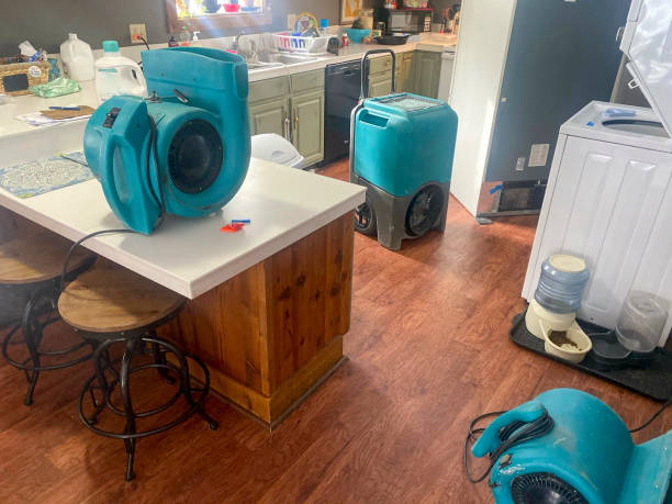 Trusted SC Water damage restoration Experts