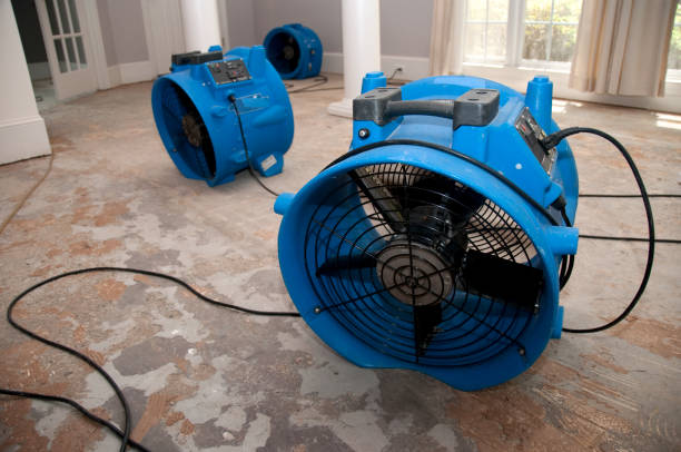 Best Flood restoration services  in Easley, SC