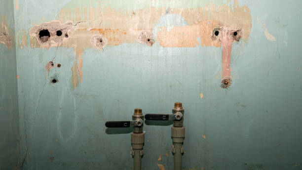 Best Water damage restoration near me  in Easley, SC