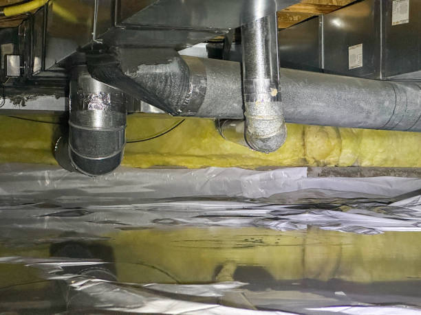 Best Water damage contractors near me  in Easley, SC