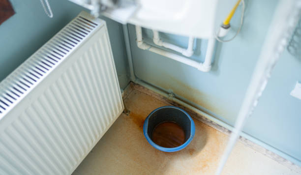 Best Water damage restoration near me  in Easley, SC