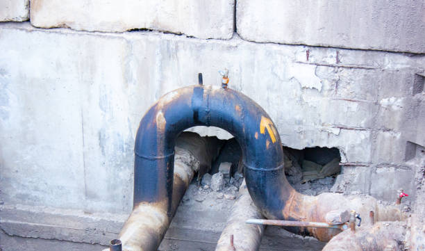 Best Flood damage cleanup  in Easley, SC