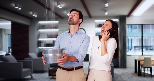Best Ceiling water damage repair  in Easley, SC
